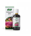 BOLDOCYNARA 100ML