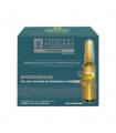 ENDOCARE TENSAGE AMPOLLAS 10x2ML