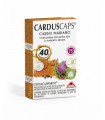 CUR CARDUS CURCUMA 60caps