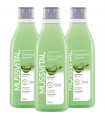 PACK 3 GELES ALOE VERA 750ML MUSSVITAL