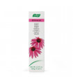 DENTAFORCE ECHINACEA (PDENTAL) AVOGEL