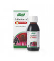 ECHINAFORCE HOTDRINK AVOGEL