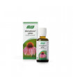 ECHINAFORCE 50ML AVOGEL