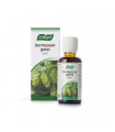 DORMEASAN 50ML AVOGEL