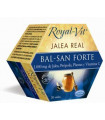 ROYALVIT BALSAN EQUINACEA